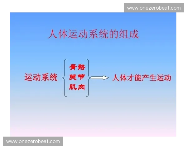 基于体育行为分析的运动参与模式与表现优化机制探索与实践路径